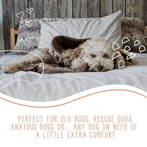   Nappy-Puppy-Weighted-Dog-Blanket-Specially-designed-for-anxious-dogs-Extra-comfortable-Premium-Minky-Fabric-Hypoallergenic-Glass-Beads-Brown-Small-2-lb