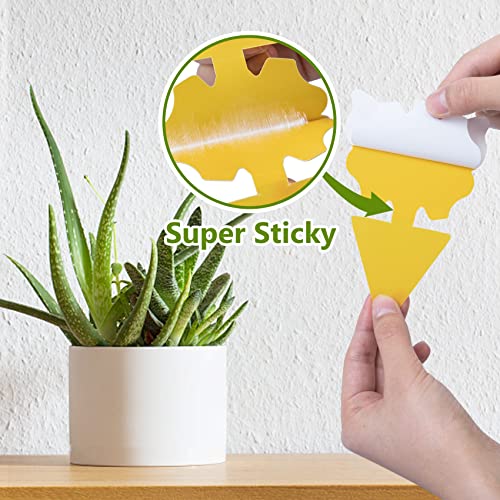 40 Pack Fungus Gnat Traps For House Indoor, Fungus Traps Fruit Fly Traps For Indoors Gnats Sticky Traps For Plants Yellow Sticky Traps For Gnats #TOP4