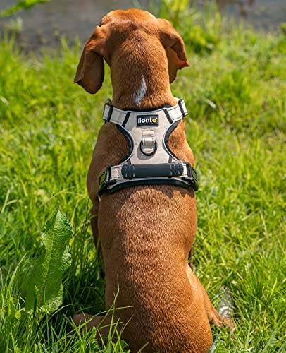 lionto Hundegeschirr gepolstert aus weichem Nylon, Größe M, reflektierendes Anti Zug Geschirr für Hunde mit 2 Ringen & 4 Einstellgurten, Zwei Klickverschlüsse & gummierter Griff am Rücken, beige