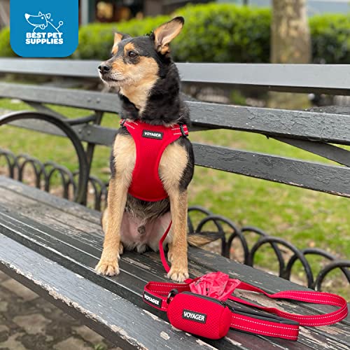 Image of Best Pet Supplies Reflective Dog Leash with Neoprene Handle, 5 FT. and Reusable Mesh Dispenser Poop Bag Holder Set for Travel, Walking, Park and Outdoor Use, Soft and Durable with Clip-On