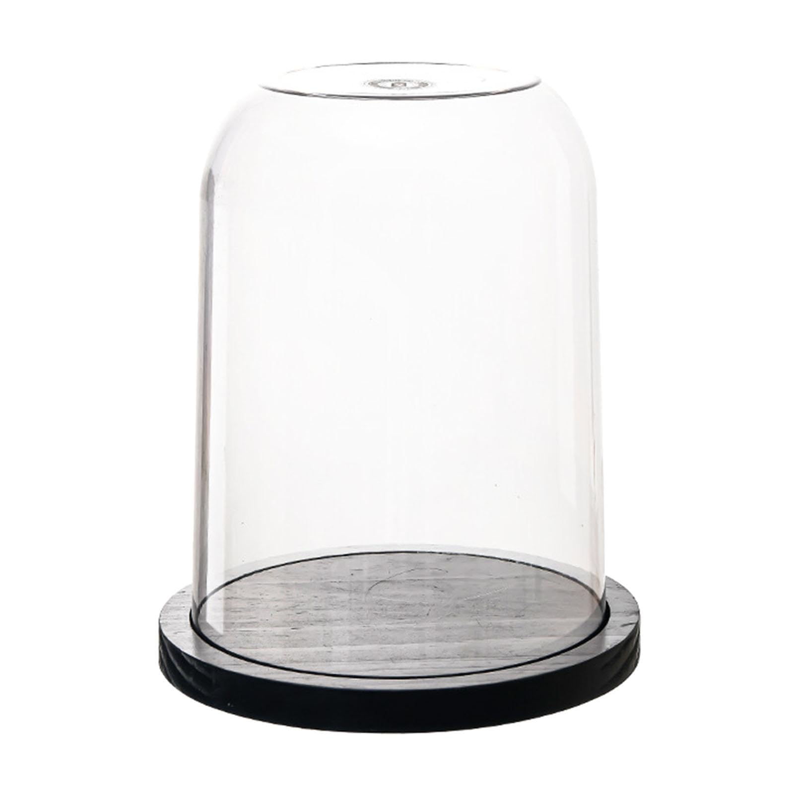 Qianly Cubierta de Cristal en Forma de Cúpula con Base de Madera para Exhibir Joyas Y Estatuas, 23 Cm X 28.4 Cm