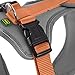 Hunter Hundegeschirr NEOPREN, Farbe: Kupfer/grau, strapazierfähiges Nylon, mit weichem Neopren gepolstert, reflektierendes 3M Scotchlite Reflective Material, pflegeleicht, komfortabel, Größe: M/1