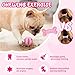 Omivine Puppy Chew Toys for Teething Small Dogs, 8 Pack Pink Puppy Toys for Teething Treat Interactive to Keep Them Busy, Cute Soft Durable Rubber Toy for Small Dogs, Girl Puppy Essentials