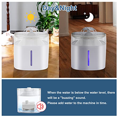 Anpetbest Cat And Dog Water Fountain, 67Oz Automatic Pet Fountain For Cats Dogs Ultra Quiet Dispenser With Multiple Pets, Includes Plug 1 Filter Replacements Included, White (Ct-Wf-01) #TOP6