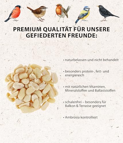Dehner Natura Premium Wildvogelfutter, halbe / ganze Erdnüsse schalenfrei, Ganzjahresfutter proteinreich / energiereich, hochwertiges Vogelfutter für Wildvögel, 3.4 kg