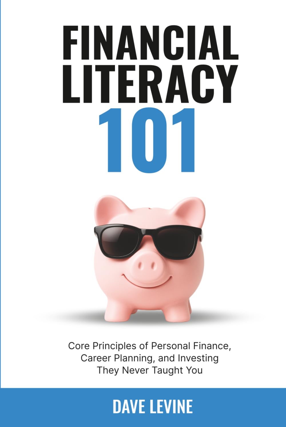 Financial Literacy 101: Core Principles of Personal Finance, Career Planning, and Investing They Never Taught You