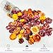 100 Pcs Natural Dried Daisy Flowers Heads,Bulk Real Gerbera Daisies & Chrysanthemums,Multicolor Dry Floral Supplies for DIY Crafts,Wedding Decor,Home Party,Wreath Garland,Soap&Candle Making
