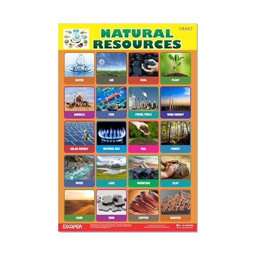 Image of ESCAPER Natural Resources Educational Charts for Kids, (11.5 x 17.5 inches) Printed On 300 GSM, Laminated, Self Adhesive Back, Kids Study Material, Learning Chart, Educational Posters