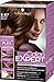 Produktbild Schwarzkopf Color Expert Intensiv-Pflege Color-Creme, 5.67 Bronze Braun Stufe 3, 3er Pack (3 x 167 ml)