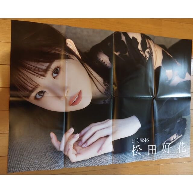 Amazon.co.jp: EX大衆 12月号特別付録 日向坂46 松田好花 BIG