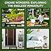 Garden Gnomes Outdoor with LED Solar Light - 11’’ Funny Gnome Decorations/ ornaments for Home/Yard/Patio Solar Lantern Garden Statues - Decor -Fall Deals/clearance - Housewarming/Birthday Gifts