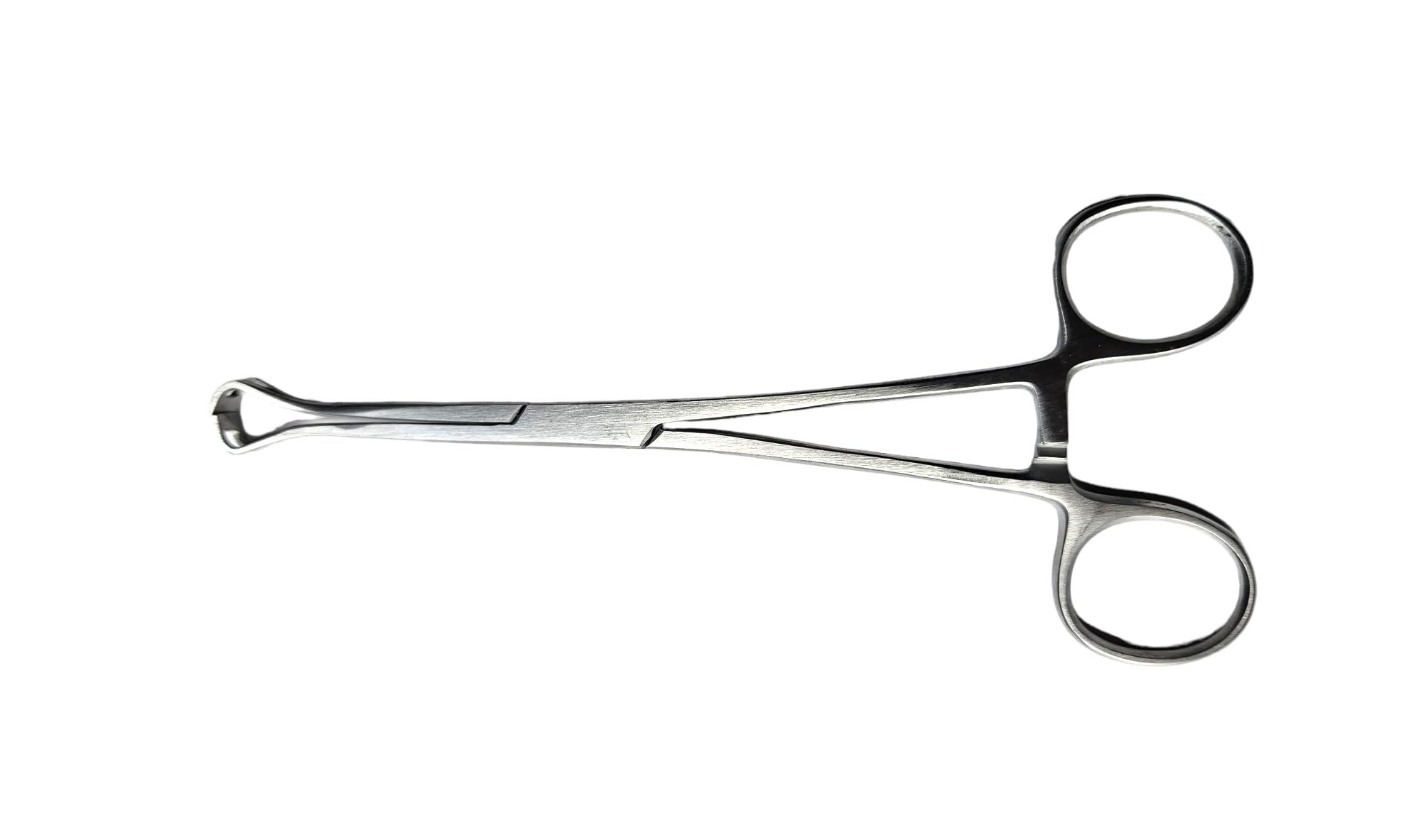 MEDITECH GLOBAL Babcock Forceps (6 INCH) (B0CJ87JTKZ) Amazon Price History, Amazon Price Tracker