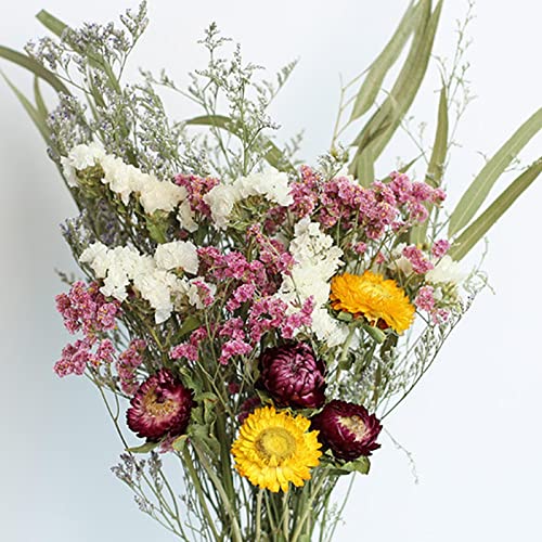 Bouquet natural seco Baoblaze 2X arreglo miniatura 6