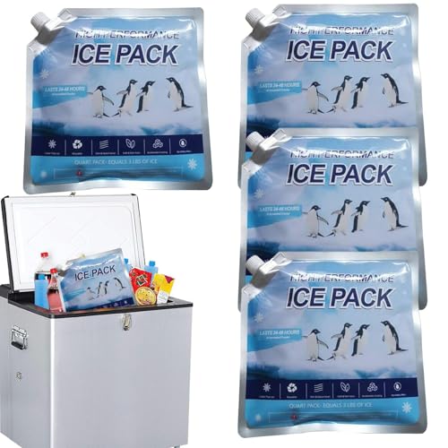 Paquetes de hielo para enfriador, paquetes de refrigeración para camping, reutilizables, portátiles, de larga duración, a prueba de fugas, accesorios de refrigeración para pesca, viajes, playa