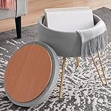 Ornavo Home Modern Round Velvet Storage Ottoman Foot Rest Vanity Stool/Seat with Gold Metal Legs & T
