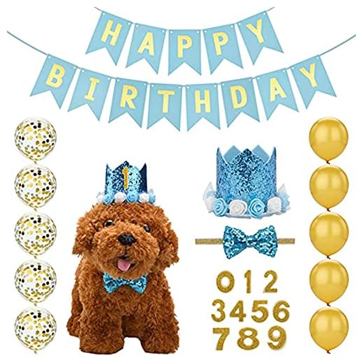 Hund Födelsedag Bandana Hat Set Husdjursfest Leveranser Födelsedag Banner Hatt 0-9 Siffror Ballonger Och Krage Hund Firar Födelsedag För Husdjur Små Medium Hundar Katter (Blå)