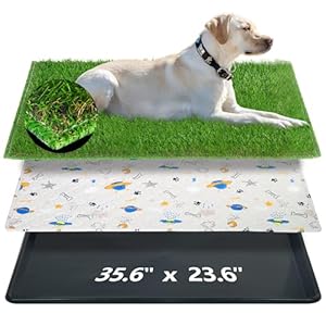 Reusable Dog Loo System with Artificial Grass Turf&Pee Pads&Tray, for Puppy Potty Training is Portable&Easy to Clean,35x23in Large Dog Litter Box Toilet for Indoor/Outdoor use(35.6”x23.6”)