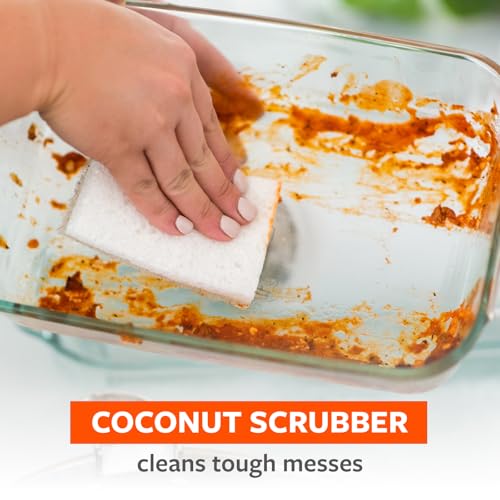 Image of Full Circle Coconut Scrubber Sponges, Pack of 2 - Dual-Sided, Plant-Based Sponges Made with Coconut Shells, Cellulose & Recycled Materials, Safe for Nonstick Cookware