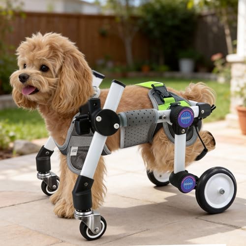 LetPetRun Adjustable Four Wheel Dog Wheelchair for Full Body Mobility Support,Lightweight Front & Rear Legs Mobility Aid Stable Dog Walker (XXS for 6-11lb)