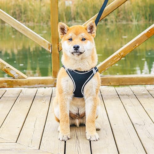 Galenecx arnés Perro, Arnés para Perros con Correa, Harness para Perro sin Tirar, Chaleco Acolchado Ajustable con Cinta Reflectante, para Perros y Gatos Pequeños(Negro, XS) - imagen 2