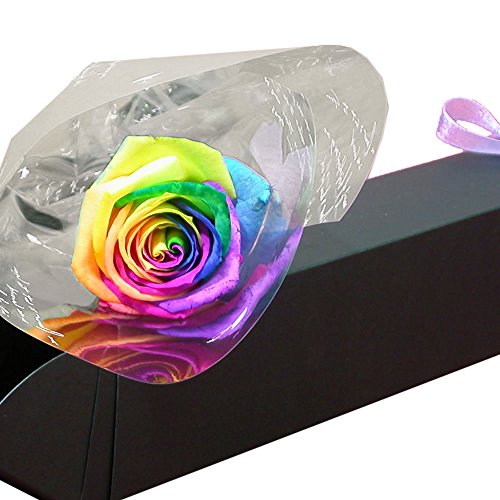 生花 レインボーローズ 一輪の人気商品 通販 価格比較 価格 Com