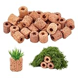 DICOSMETIC 30 Stück Aquarienpflanzen Befestigungsring Basis Keramik Wasserpflanzen Kultivierungs Befestigungsring Mit 26mm Länge 25 25.5mm Durchmesser 11mm Loch Für Aquarium, Kamelfarbe