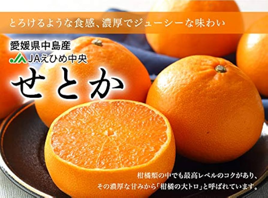 ☆みかん様☆ みかん様 ミカン様 ミカン様 蜜柑様 レビュー】ZXシリーズ10周年