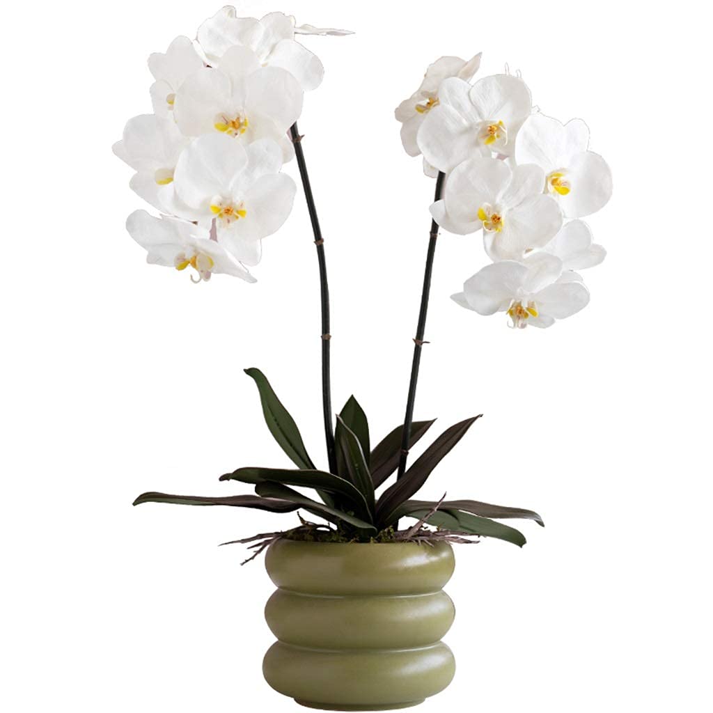 MYUYEE Artificial Flowers Artificial Orchid Flower With Ceramics Vase Set White Phalaenopsis Flower Faux Orchid Faked Flowers Potted Plants, 23.6" H Artificial Plants