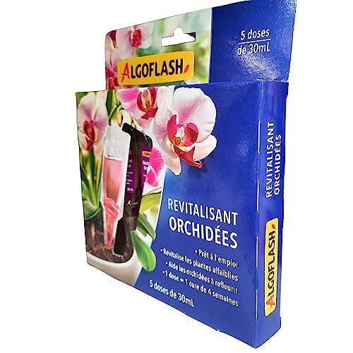 ALGOFLASH Monodose Revitalisierende Blumen auf Balkon und Terrasse, 5 Dosen, Monorchid, Violett