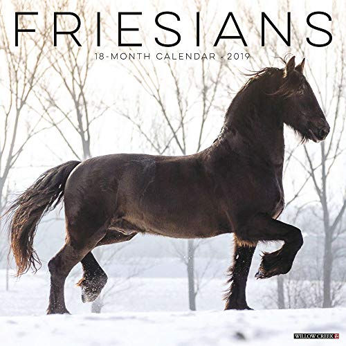 Friesians 2019 Wall Calendar (Dog Breed Calendar)