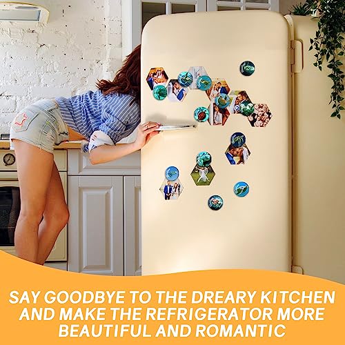 Imanes decorativos animales para refrigerador, pack 12 piezas miniatura 4
