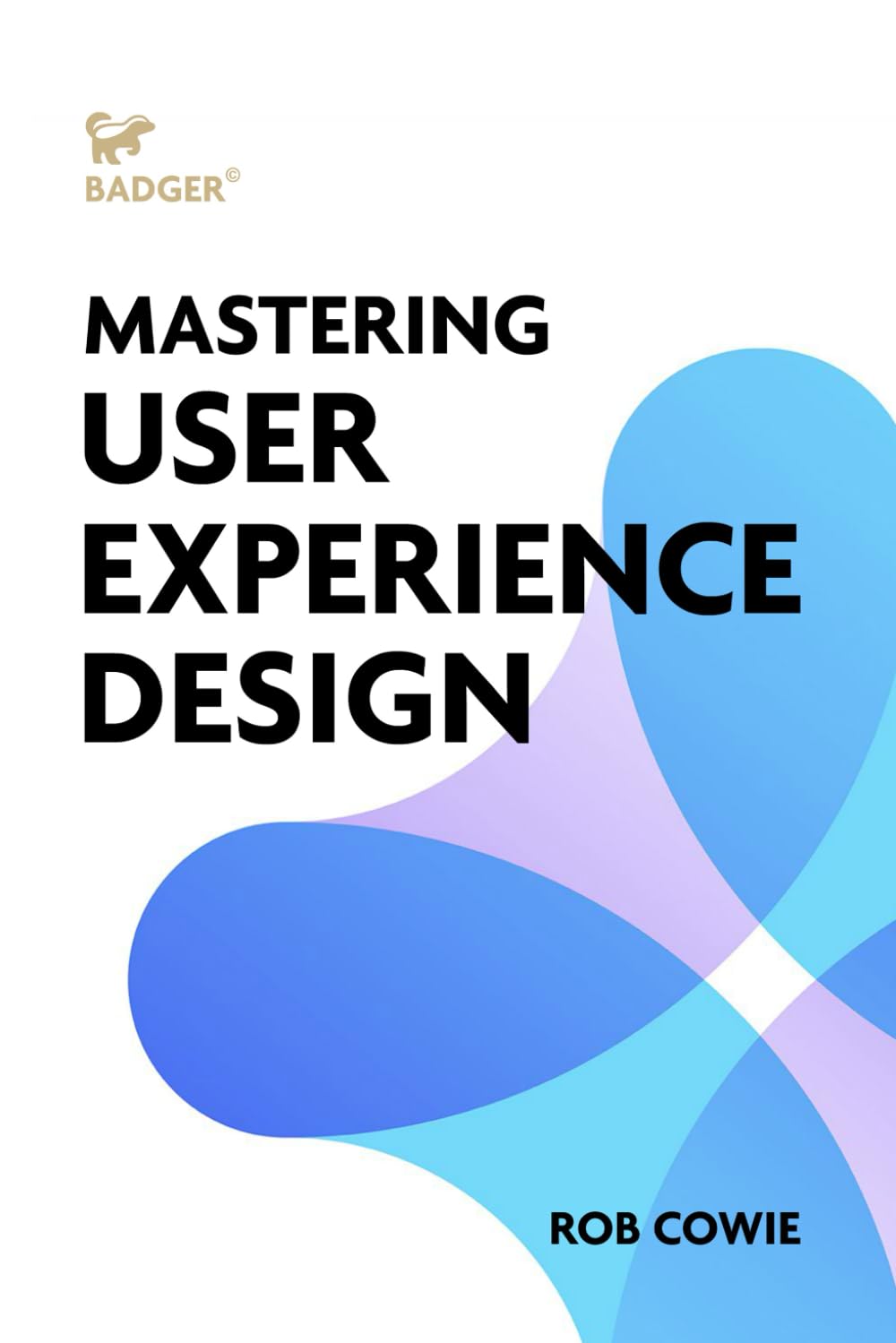 Mastering User Experience Design