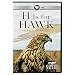 NATURE: H Is for Hawk: A New Chapter DVD