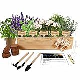 Indoor Herb Grow Kit, 5 Organic Herb Seeds Garden Starter Kit with Complete Planting Kit & Wooden...