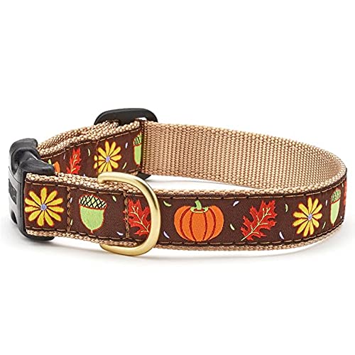 Up Country Harvest Time (Dog Collar, 5/8&rdquo; Width, Small (9 to 15 inches))
