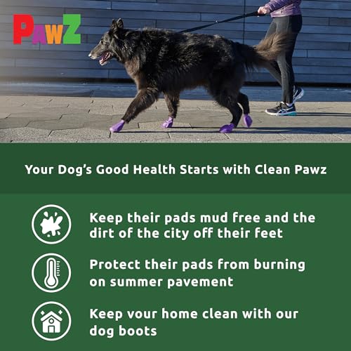 PAWZ PAWB-XL Hundestiefel, schwarz