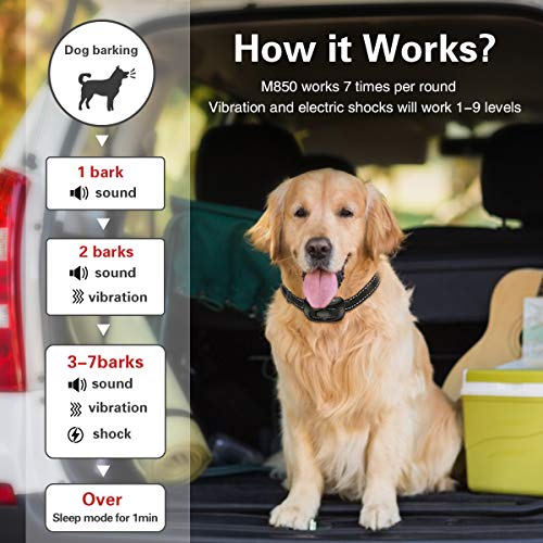 CLEEB-BOUG Dog Bark Collar, No Bark Training Rechargeable Anti Barking Collar with 9 Adjustable Sensitivity and… - Image 7
