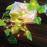 Illuminez votre vie --- Le fil de cuivre avec 20LEDs / 2m / 6.56ft, Feuilles d'eucalyptus Ratten Fairy Lights générera une atmosphère chaleureuse pour votre vie, et les lumières blanches chaudes rendront la maison et le jardin colorés et romantiques .