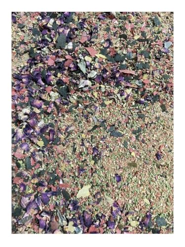 Comida Tortugas Terrestres Komodo Marca Generisch