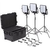 Rugged, waterproof Pelican case that's easy to transport