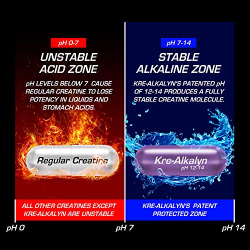 All American Efx Kre-Alkalyn For Muscle Growth & Performance - 20 More Free, 192 Total #TOP5