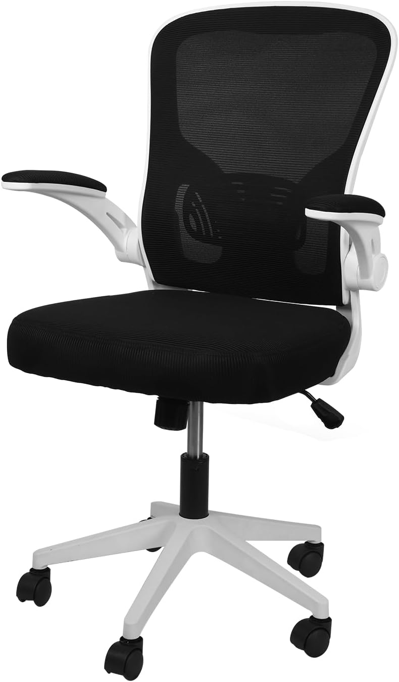 COZYBRITE Office Desk Chair Ergonomic with Back Lumbar Support Flip-up ...