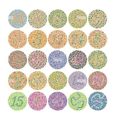 Image of Ishihara Eye Test Chart Book for Color Defieciency & Blindness with 38 Plates MULTICOLOR.. (Premium Quality)