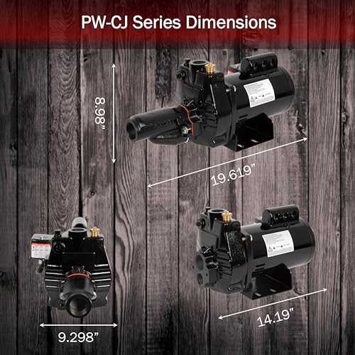 Red Lion 97090701 Pumpworks Pw-Cj75 115/230 Volt, 3/4 Hp, 8.1 Gpm Convertible (Shallow Or Deep Well) Jet Pump thumb #1