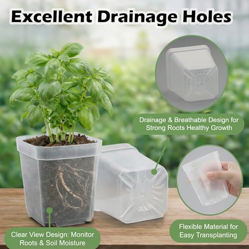 RooTrimmer 120 Packs Square Clear Nursery Pots with Drainage, 2.7 Inch Plastic Seedling Pots for Indoor Plants, Thickened Small Transplant Pot for Seed Starting Succulents Vegetables Lettuce Flowers - Image 2