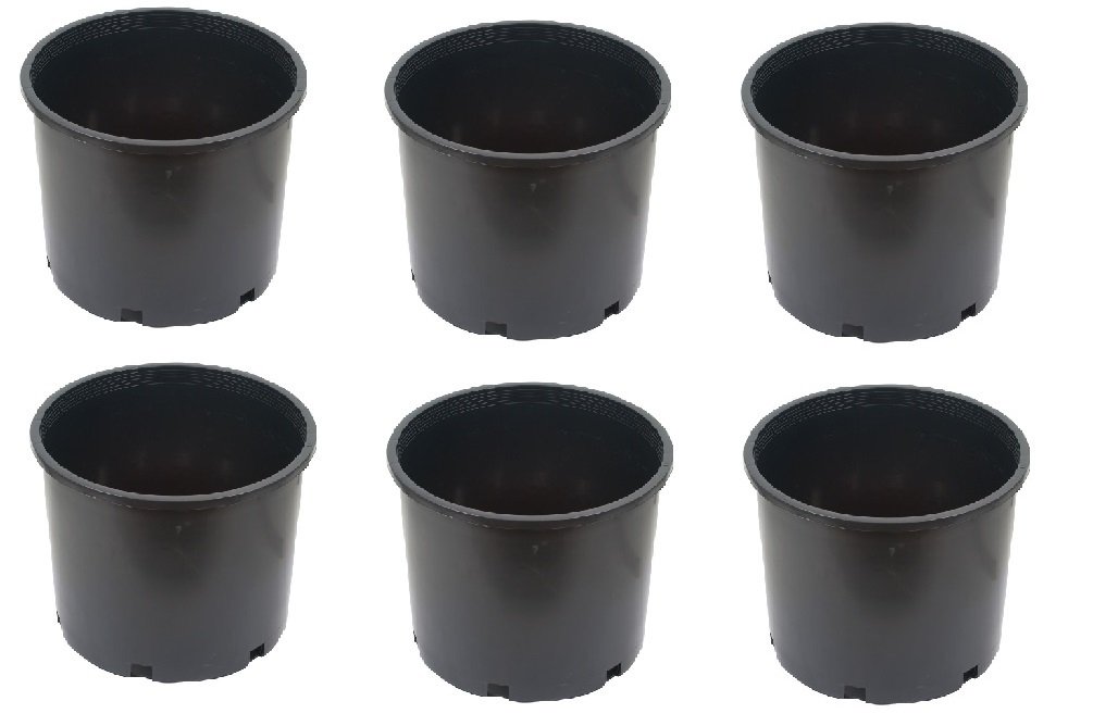 SPHINX Plastic Small Nursery Pots Planters - (Height/Depth - 10 cms/4 Inches) -Black (6)