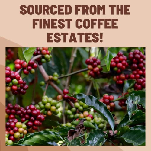 Image of Toffee Coffee Roasters | Gift Box | Hazelnut Cold Brew (Pack of 4 Bags) + Enamel Mug | As Seen On Shark Tank | 100% Arabica Coffee, Grounded Coffee Freshly Roasted