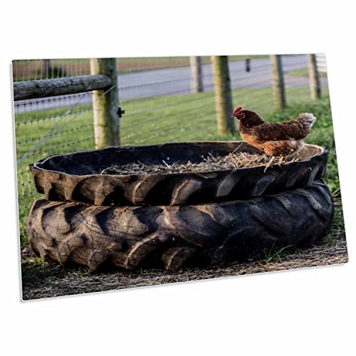 3dRose Rhode Island Red Hen, Desk Pad 23" x 16" miniatura 1