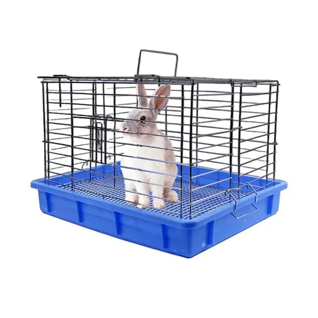 Hand Feeding Cage Pet Metal cage Baby Cats, Baby Dog& Rabbit, Handfeeding Birds & Small pet (B0D3HYZZ5Q) Amazon Price History, Amazon Price Tracker