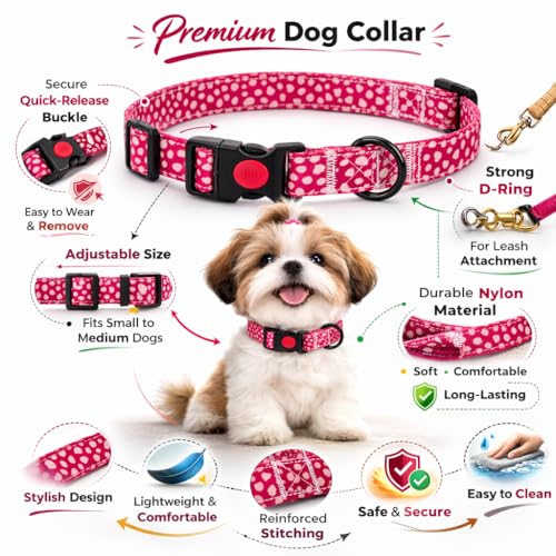 Image of Emily Pets Dog Collar with Safety Locking Buckle, Adjustable Soft Breathable Comfortable Nylon Pet Collar for Small, Medium Dog and Puppy (Color May Vary)